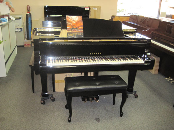 金氏鋼琴 图片 5