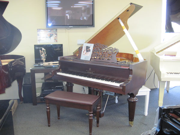 金氏鋼琴 图片 8