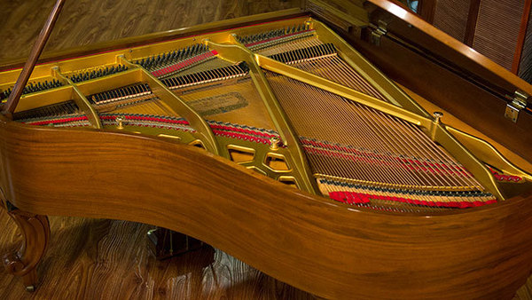 生活鋼琴 图片 8