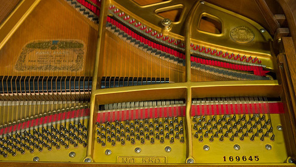 生活鋼琴 图片 4