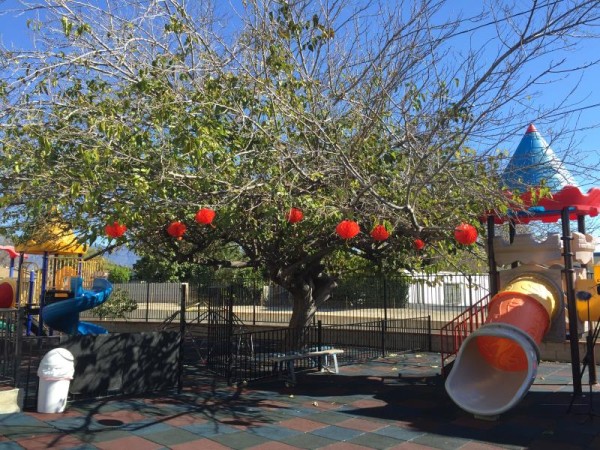 許老師幼稚園 图片 1