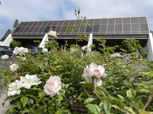 恩典大學 photo 6