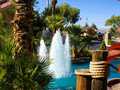 Westgate Flamingo Bay Resort Las Vegas 图片 20