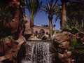 Flamingo Las Vegas photo 16