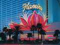 Flamingo Las Vegas photo 18