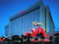 Flamingo Las Vegas photo 19