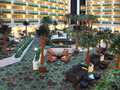 Embassy Suites Hotel Las Vegas photo 8