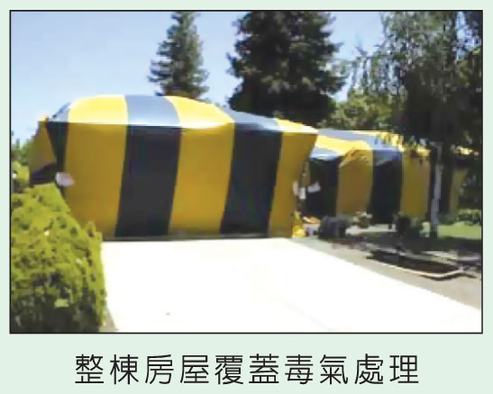 誠信殺蟲消毒服務公司 图片 1