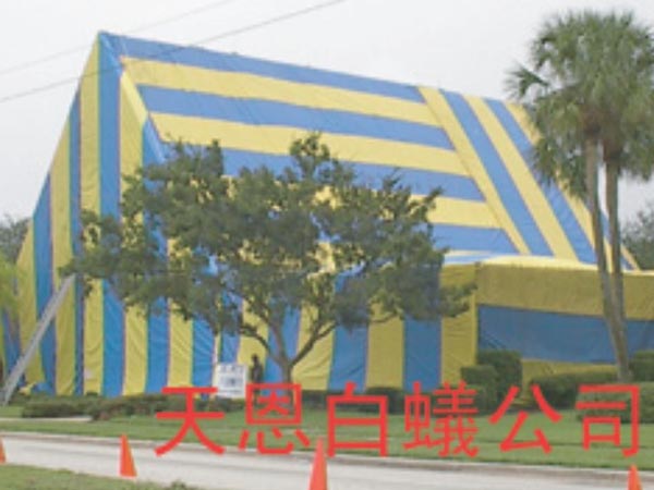 天恩白蟻殺蟲公司 图片 1