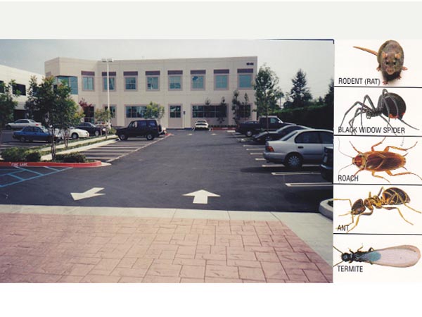 蓋博殺蟲公司 图片 1