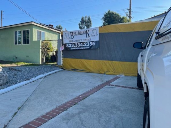 頂好殺蟲公司 图片 4