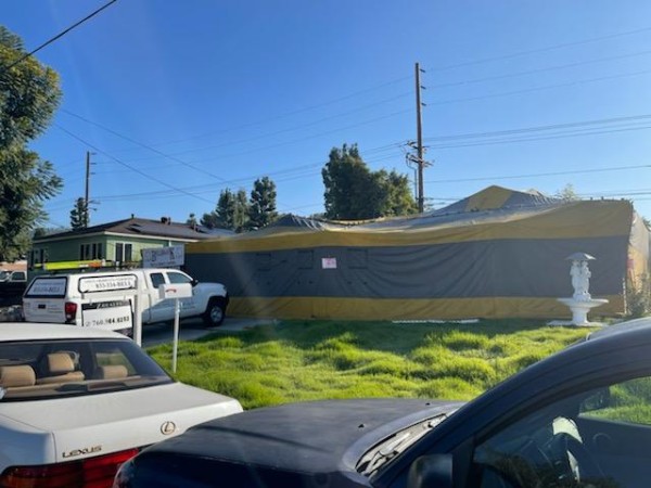 頂好殺蟲公司 图片 3