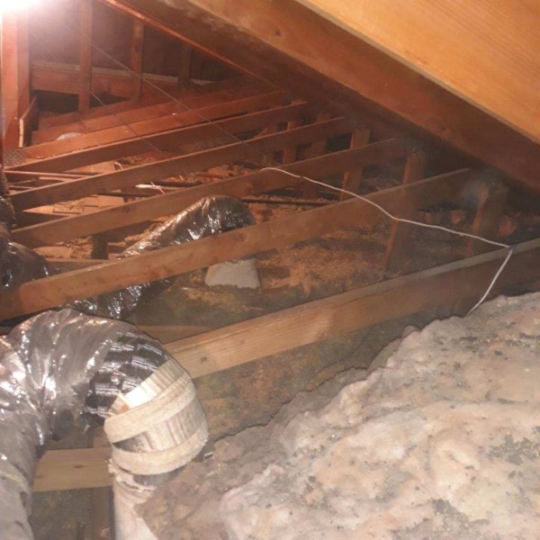 頂好殺蟲公司 图片 5