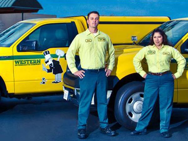 威士盾白蟻公司 图片 1