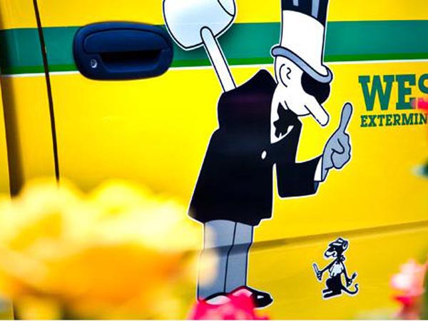 威士盾白蟻公司 图片 2