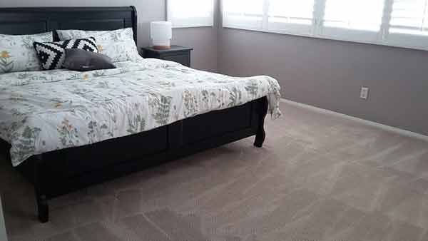 7天專業清潔公司 photo 1