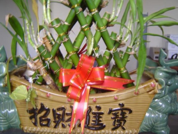 保健純水店供應商 图片 2