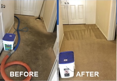 永潔蒸氣清洗地毯 图片 1