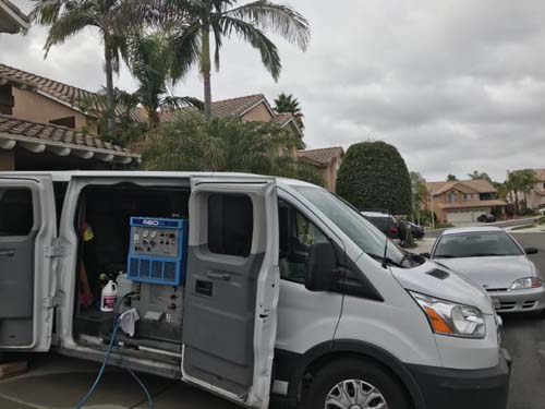 小雷洗地毯 图片 7