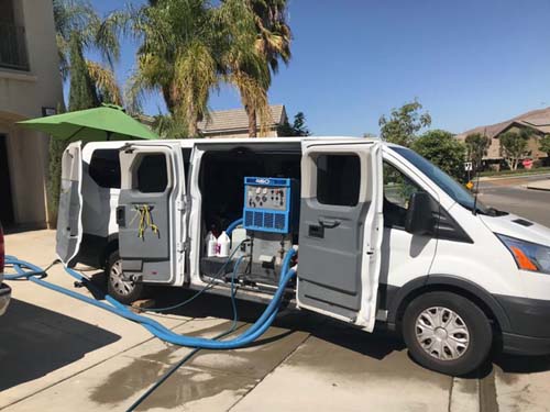 小雷洗地毯 图片 3