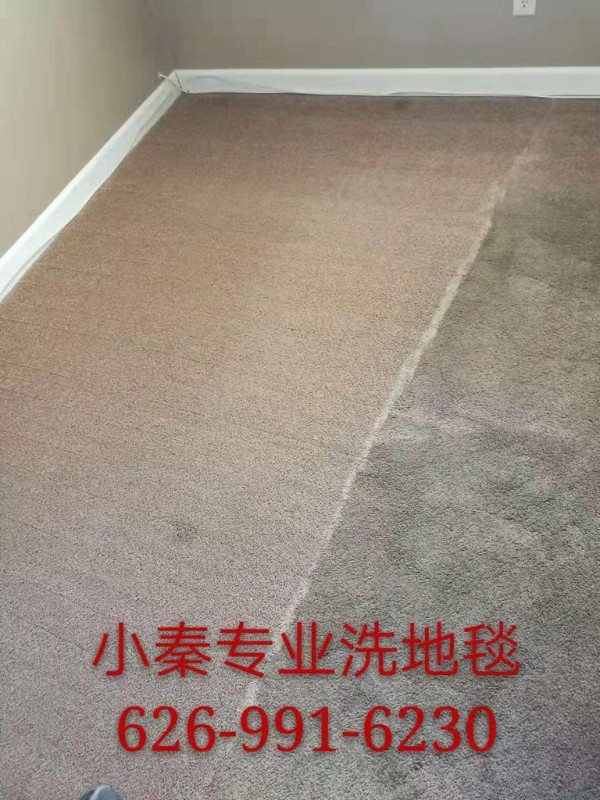 小秦專業洗地毯服務公司 图片 7