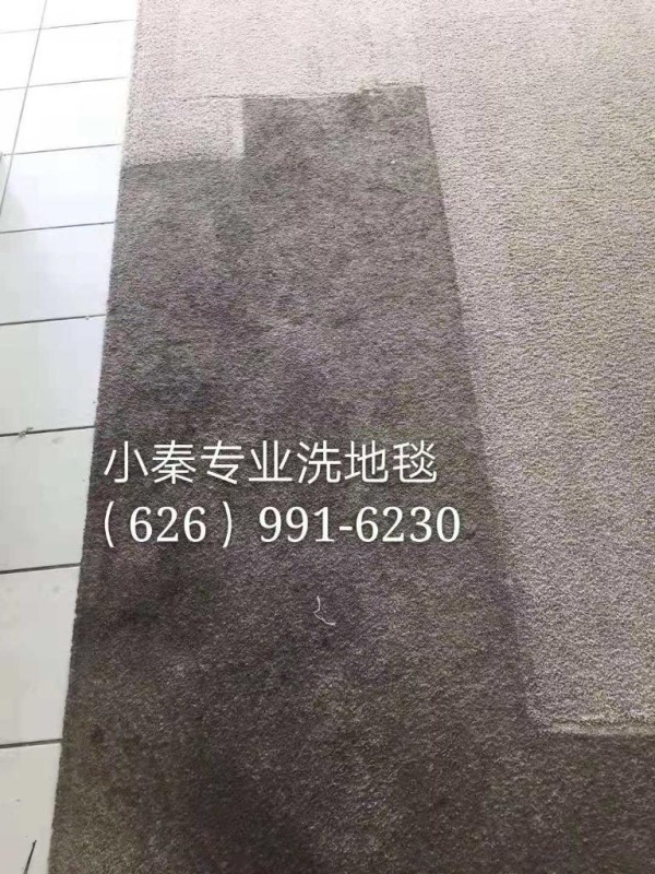 小秦專業洗地毯服務公司 图片 4