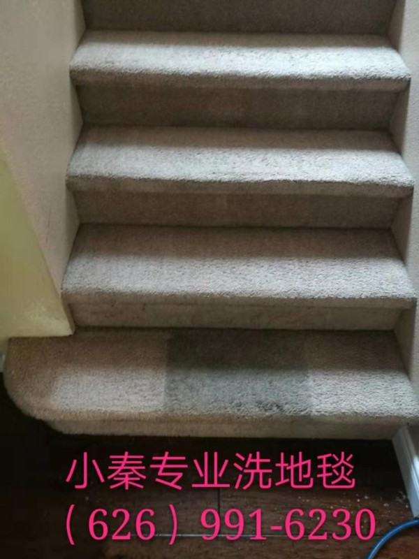 小秦專業洗地毯服務公司 图片 2