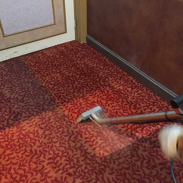 小秦專業洗地毯服務公司 图片 6