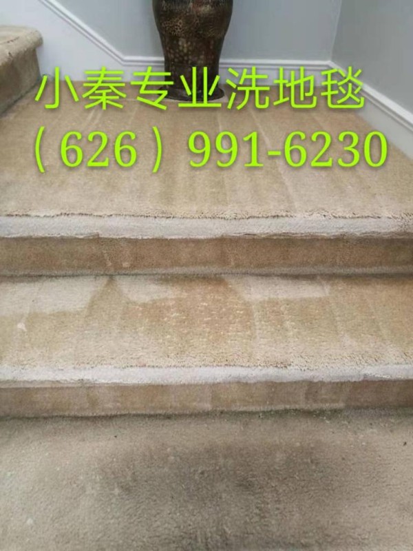 小秦專業洗地毯服務公司 图片 5