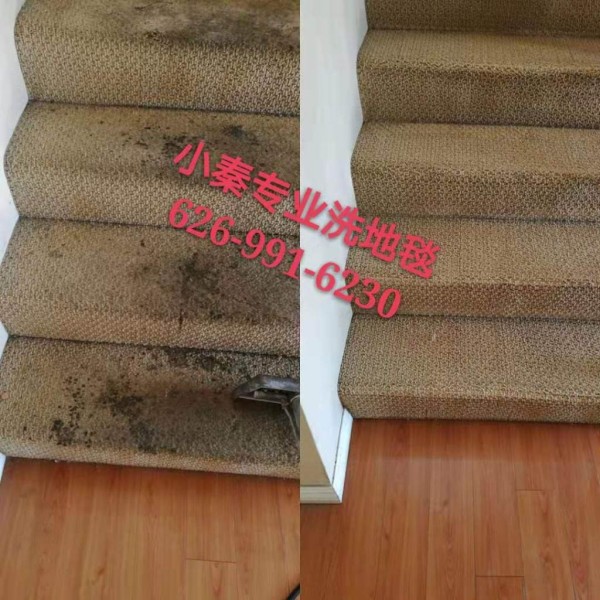 小秦專業洗地毯服務公司 图片 3