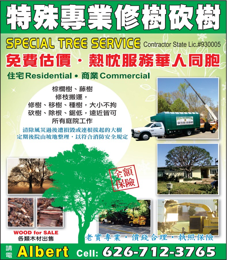 特殊砍樹 图片 5