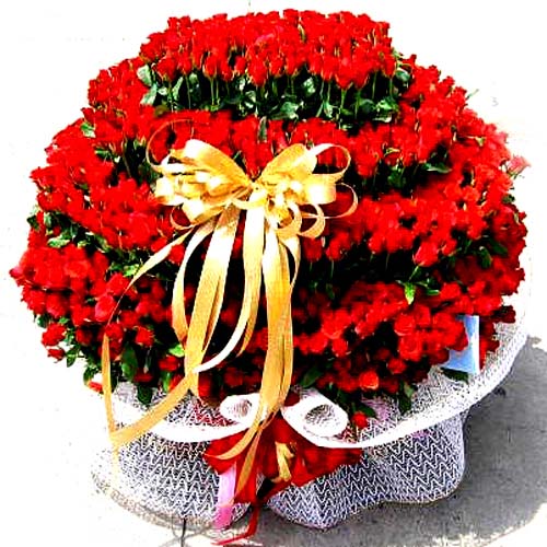 康明花市 图片 4