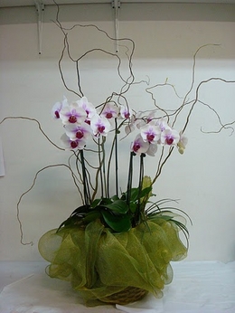 遠東花藝園‧花坊‧花店 图片 3