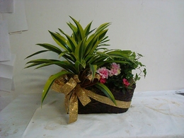 遠東花藝園‧花坊‧花店 图片 8