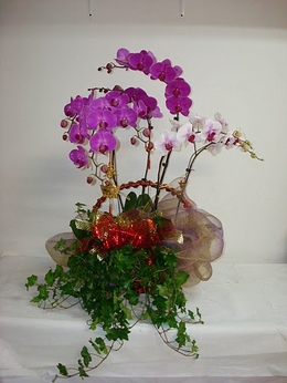 遠東花藝園‧花坊‧花店 图片 6