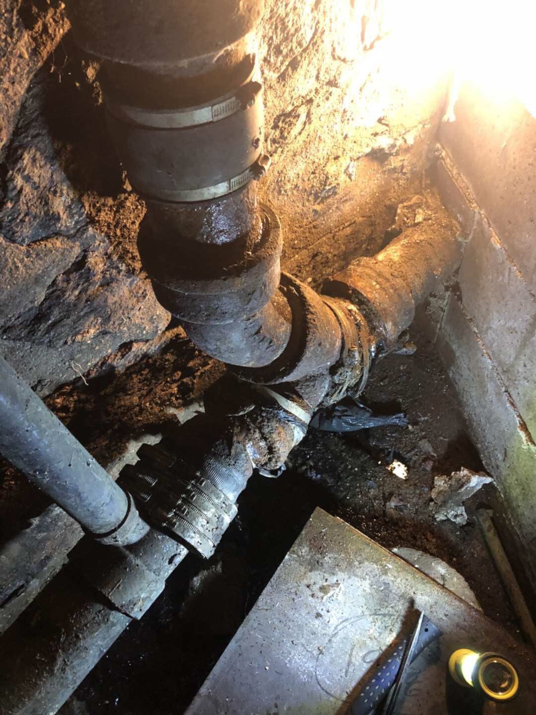 政府注册 拥有多年经验 photo 2