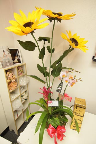 至尚攝影 图片 8