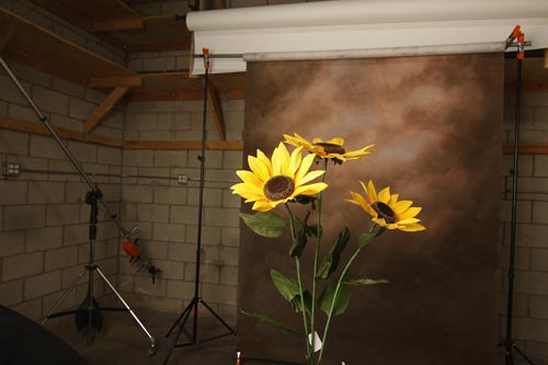 至尚攝影 图片 7