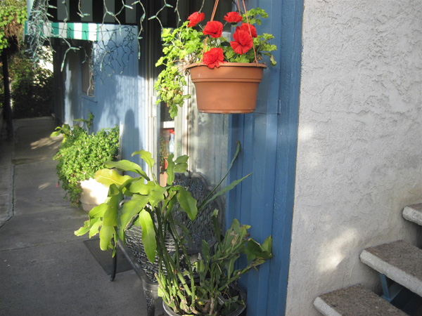 金龍客棧 图片 8