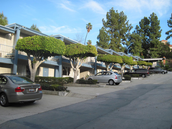 金龍客棧 图片 5