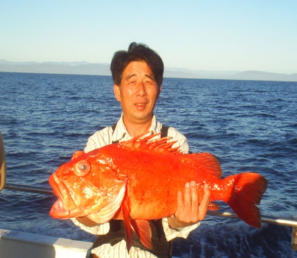 先鋒釣具 图片 1