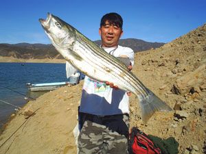 先鋒釣具 图片 7