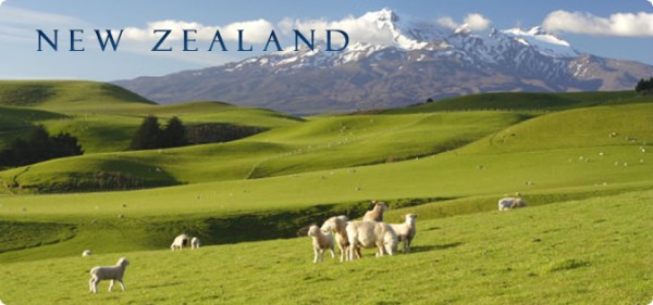 星晨旅遊 图片 5