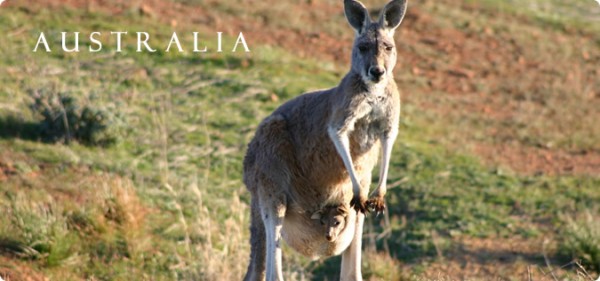 星晨旅遊 图片 6