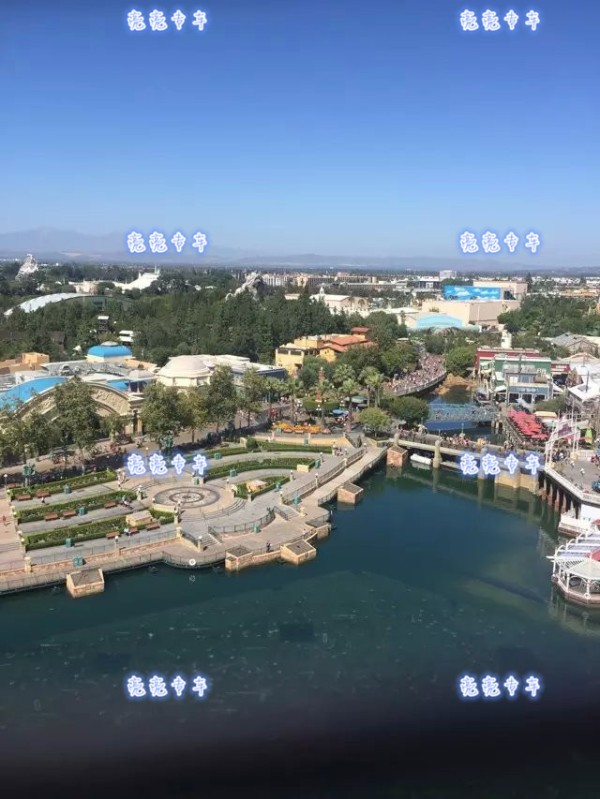 亮亮旅遊專車 图片 3