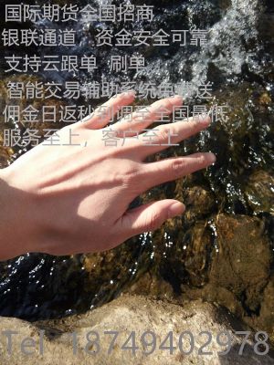 香港日发国际期货招商一个适合你的金融项目 图片 3