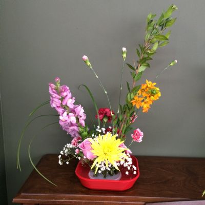 会员课免费试听一周 图片 3