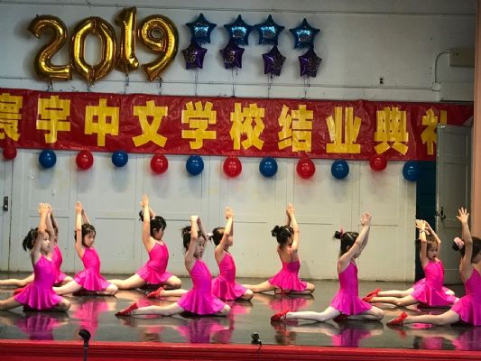 环宇中文学校暑期班网课 图片 3