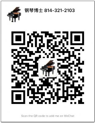 钢琴博士教钢琴 图片 3
