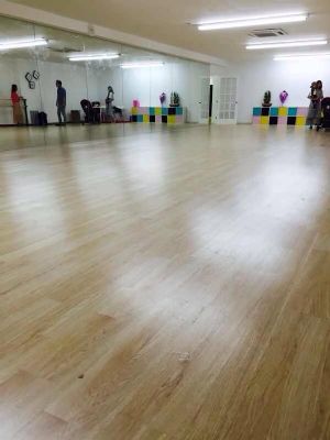 招聘舞蹈老师 拉丁舞老师  踢踏舞老师 图片 5